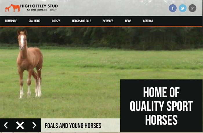 High Offley Stud